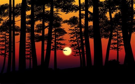 Vector Illustration Of Sunset In Forest Premium Vector