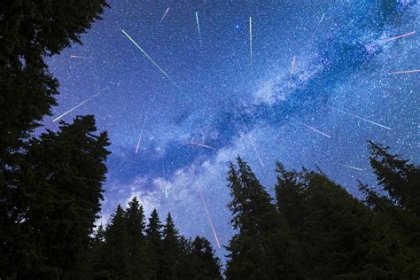 Why We Should Witness Firsthand The November Leonid Meteor Shower