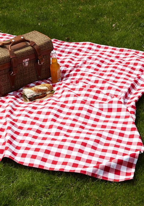 Would The Following Blanket Be A Good Choice For A Picnic