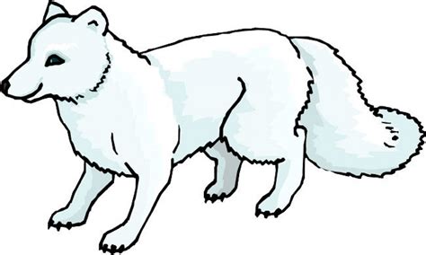 Arctic Fox Coloring Download Arctic Fox Coloring For Free 2019