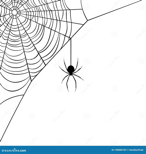 Cool Spider Web Designs