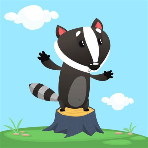 Standing Badger Cartoon Character Vector Illustration Illustrations