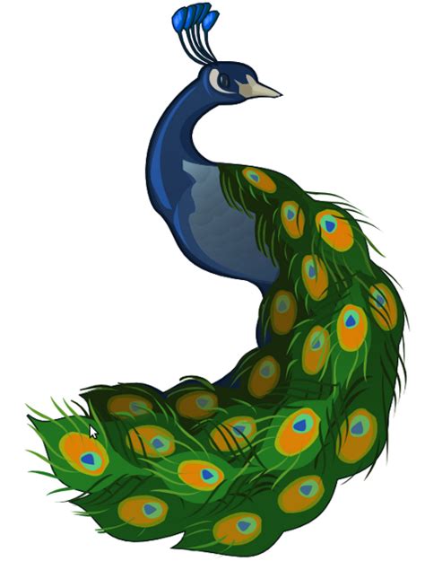 Free Peacock Clipart Pictures Clipartix