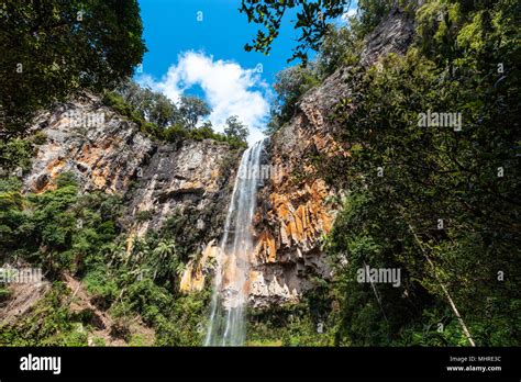 Beautiful Waterfall In Queensland Australia Stock Photo Alamy