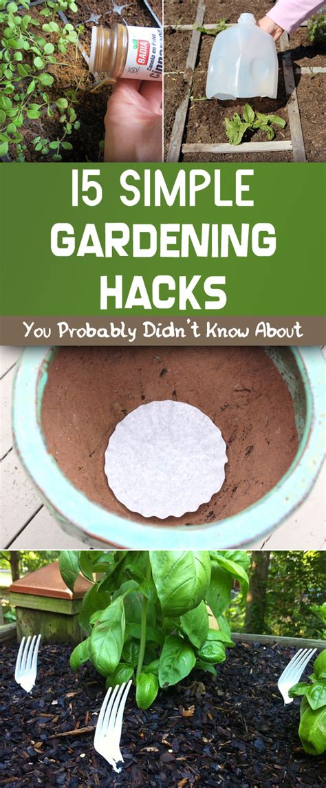 15 simple gardening hacks you probably didn t know about gardening viral