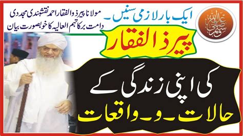 Peer Zulfiqar Ahmad NaqshBandi K Zindagi K Halat O Waqiat YouTube