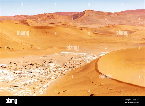 Sossusvlei And Red Sand Dunes In The Namib Desert In Namibia Africa