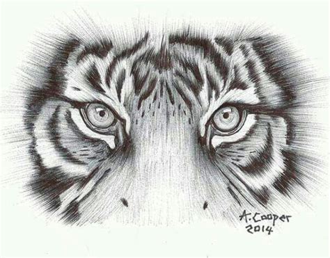 Tiger Eyes Stencil
