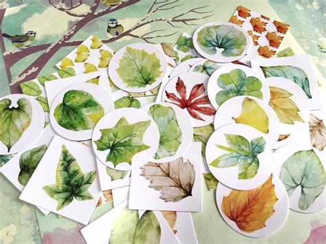 40 Colorful Leaf Sticker Autumn Leaves Green Leaves Label Etsy