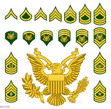 Army Enlisted Rank Insignia All In One Photos
