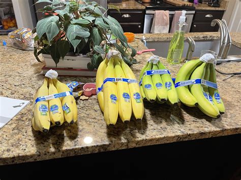 I Asked For 4 Bananas Rmaliciousstupidity