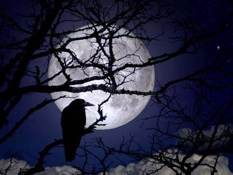 Raven Full Moon Stock Photos Download 153 Royalty Free Photos