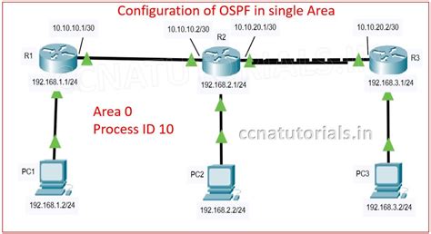 Configuration Of OSPF In Single Area Explained For Ccna 200 301 Exam