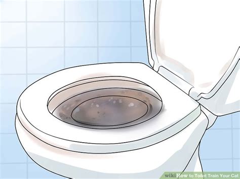 Ditch the litter box forever. How to Toilet Train Your Cat: 11 Steps (with Pictures ...