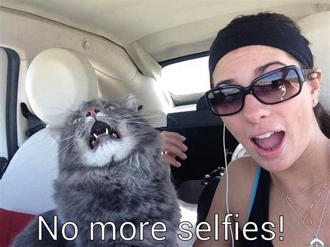 Funny Selfies Memes 15 Background