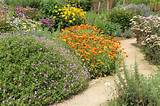 Images of Landscaping Xeriscape Ideas