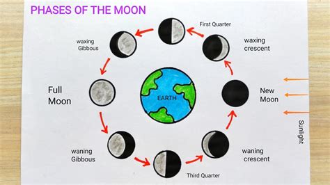 Moon Phase Drawing Step By Step Moon Phase Diagram Drawing How To