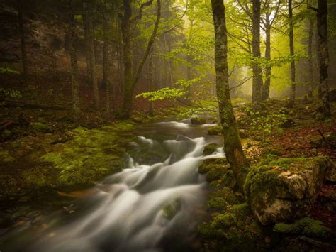 Mountain River Rocks With Green Moss Trees Hd Wallpapers For Desktop