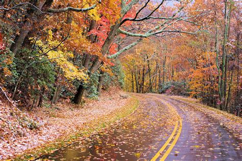 Fall Foliage Forecast And Nc Mountain Color Guide