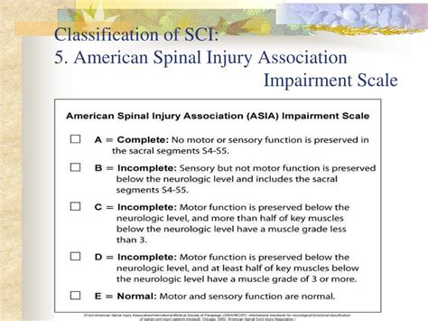 Ppt Traumatic Spinal Cord Injury Powerpoint Presentation Id976523