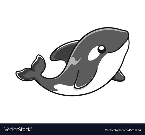 Cute Orca Whale Killer Whale Cartoon Clipart Vector Image