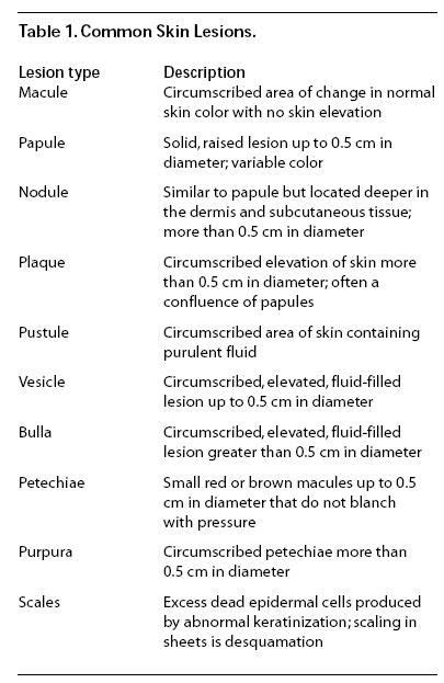Terms To Use To Describe Skin Assessment