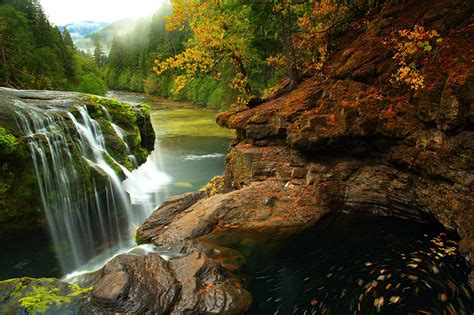 Images Washington Usa Ford Pinchot Nature Waterfalls Forest