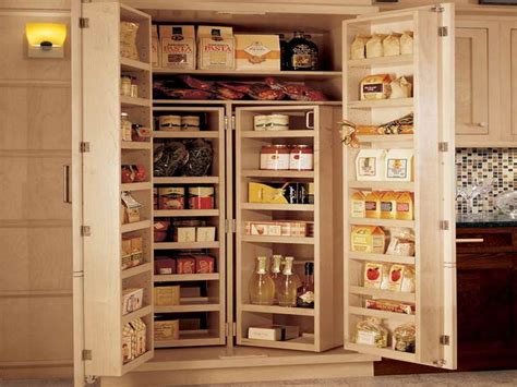 Wood Storage Cabinets With Doors And Shelves Kitchen Cabinet Storage