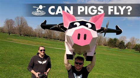When Rc Pigs Fly 🐷 Youtube