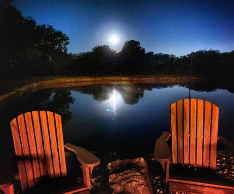 Full Moon By The Pond Pond Design Water Features Pond