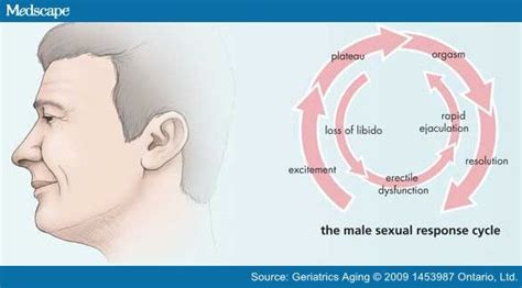 Sexuality In The Aging Male