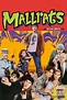 Mallrats Movie Synopsis, Summary, Plot & Film Details