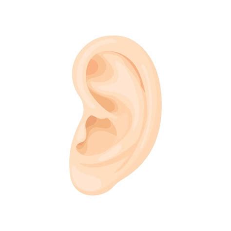 Human Ear Icon Cartoon Style Ear Human Cartoon Png And Vector With