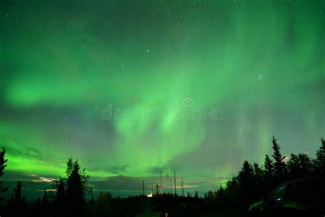 Natural Light Display Of Aurora With Dynamic Patterns Of Brilliant