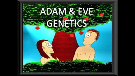 Adam And Eve Youtube