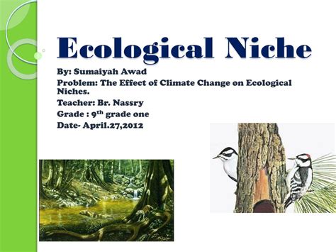 Ppt Ecological Niche Powerpoint Presentation Free Download Id3826092