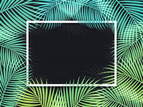Palm Tree Border Illustrations Royalty Free Vector Graphics And Clip Art