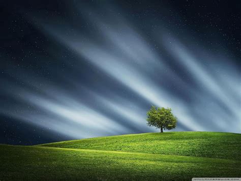 Lonely Tree With Lights Wallpapers Wallpaper Cave