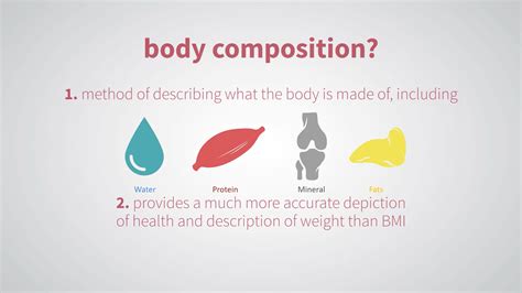 Body Composition What Is It And Why Is It Important GardeningLeave
