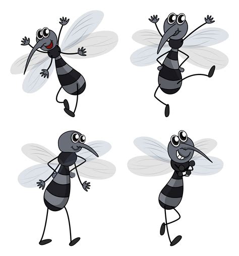 Four Mosquitoes On A White Background 1040079 Vector Art At Vecteezy