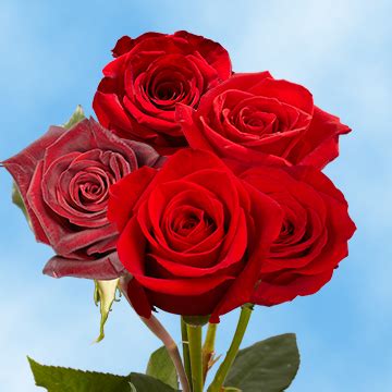 Choose from a wide selection of reasonably priced, professionally designed flowers. Red Roses Fresh Flowers Online Delivery | GlobalRose