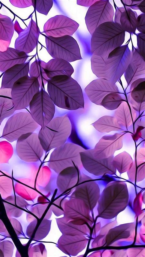 10 Beautiful Hd Wallpapers For Your Phone Purple Leaves