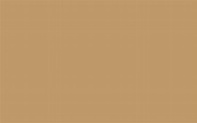 1920x1200 Camel Solid Color Background