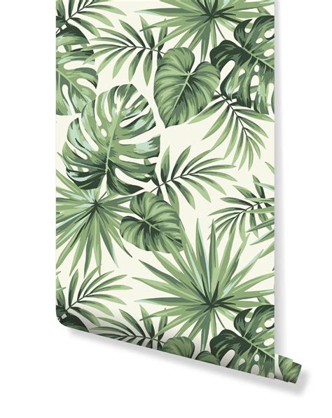 Tropical Palm Leaves Removable Wallpaper Cc030 Tropical Wallpaper