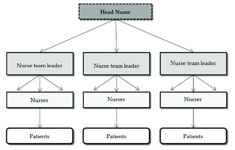 Structure Of The Team Nursing Method Download Scientific Diagram