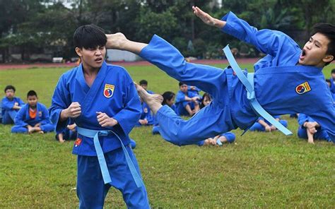 Le Vovinam Viet Vo Dao Un Art Martial Vietnamien 360 Indochine