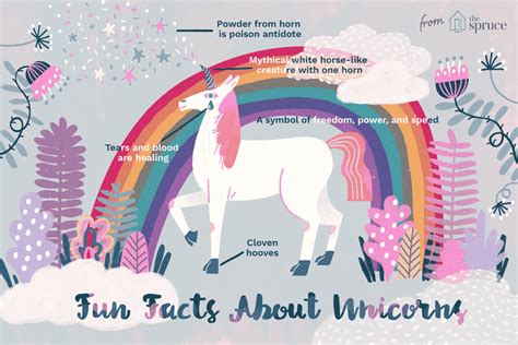Are Unicorns Real Separating The Truth From Myth