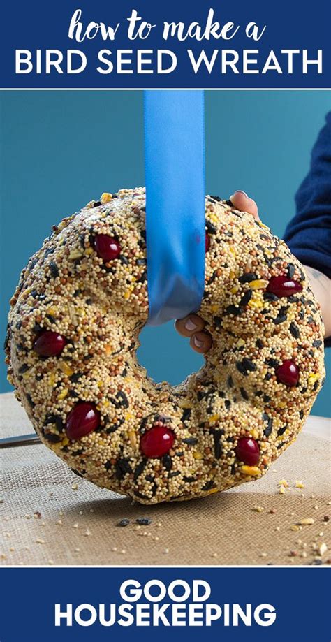 Living in a cold area, i figure small cakes made with coconut would be ok. Best 25+ Bird seed wreath recipe ideas on Pinterest | Bird ...