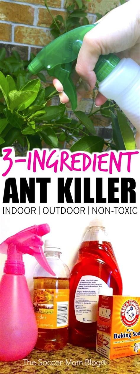 This homemade ant killer will help you get rid of ants in minutes! The Best Homemade Ant Killer (Kid & Pet Safe) - The Soccer ...