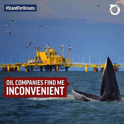 Oil Companies Are Threatening Vital Protections For Marine Mammals In U